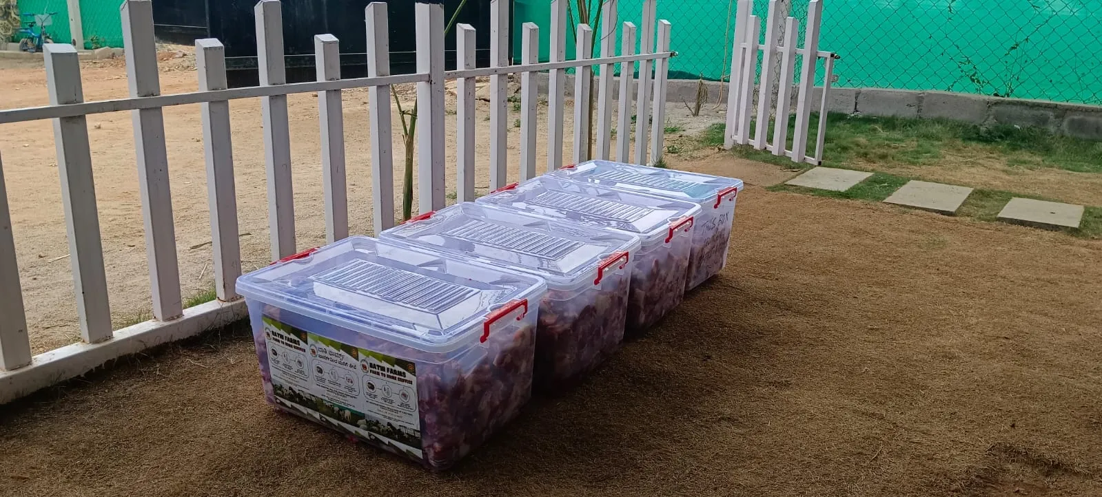 Fresh mutton packed in containers, ready for delivery